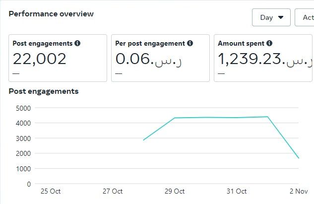 Meta Ads Manager: 22,002 post engagements